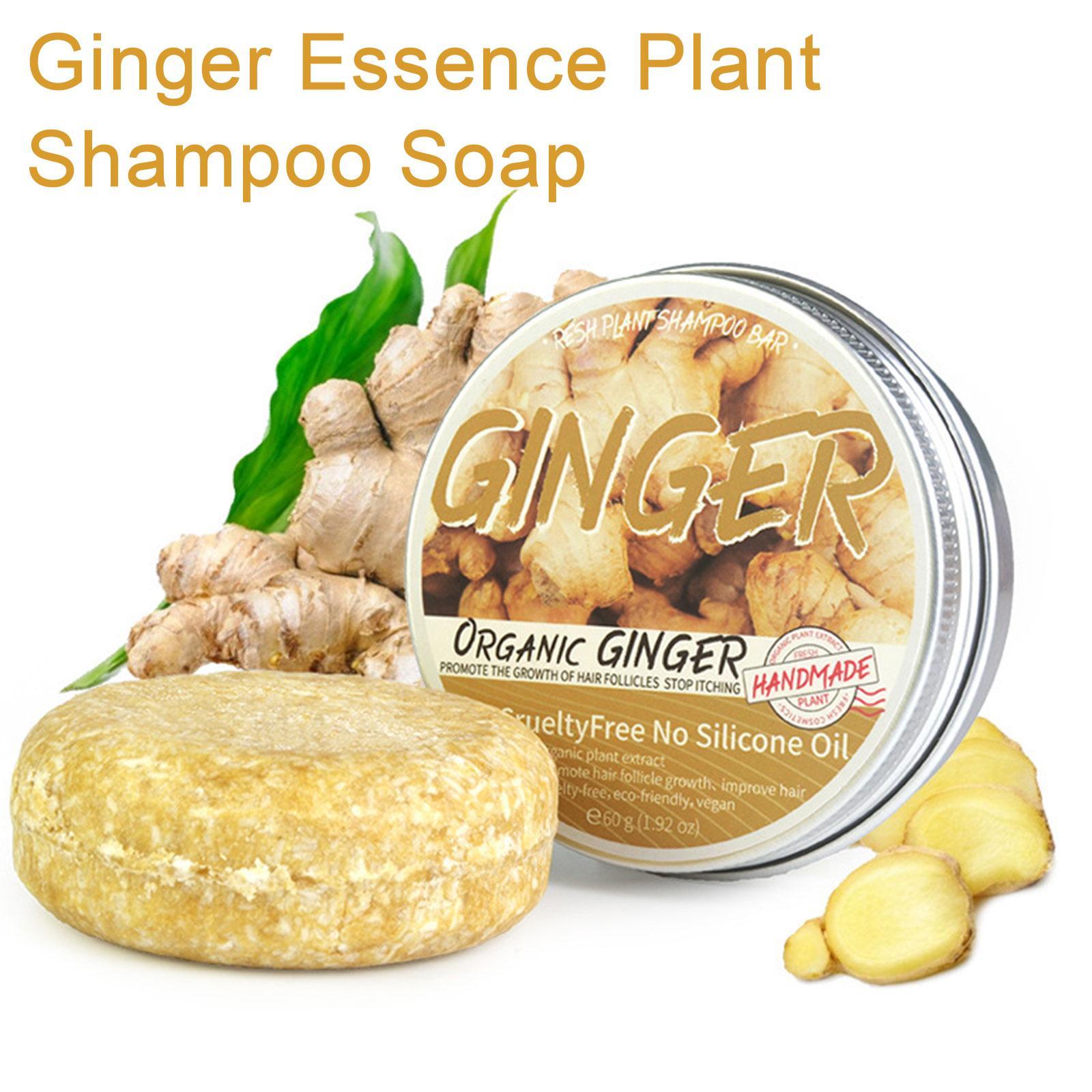 Ginger Polygonum Soap Shampoo  - Hair Care Pantene review and price