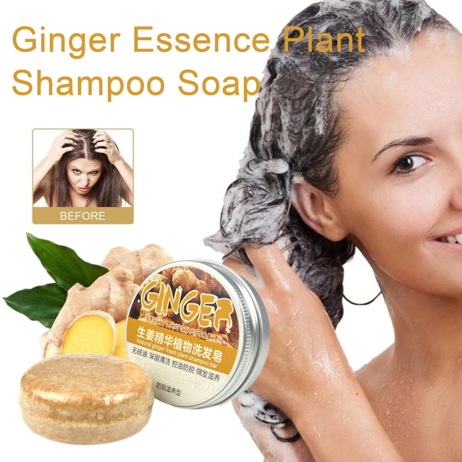 Ginger Polygonum Soap Shampoo  - Hair Care Pantene review and price