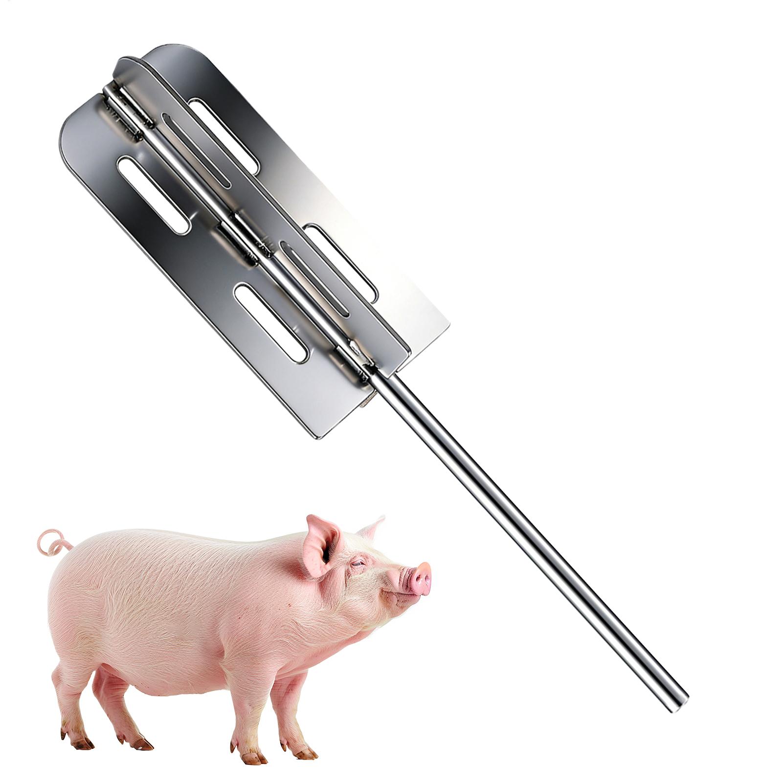 Hog Hair Removal Tool Stainles - Hair Care Tools review and price
